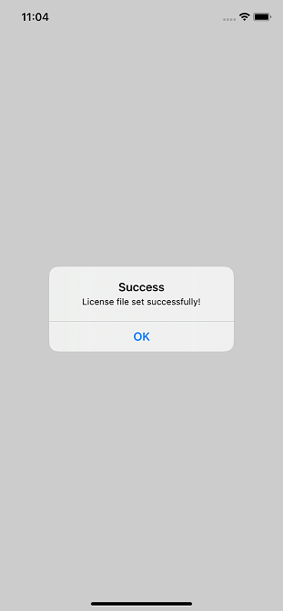 iOS设备上成功显示截图